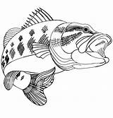 Bass Fish Coloring Pages Color Print Tocolor Outline Fishing Pro Kids Printable Button Using Template sketch template