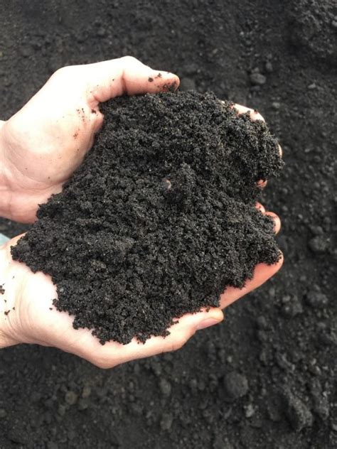 black dirt order  fra dor landscape supply