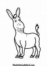 Shrek Coloring Donkey Printable Drawing Tail Animal Cartoon Bestcoloringpagesforkids Funny Getdrawings sketch template