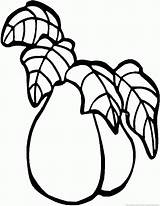 Guava Coloring Pages Drawing Tree Fruit Getdrawings Template sketch template