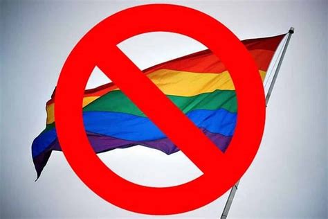 Дума приняла закон о запрете пропаганды ЛГБТ Пикабу