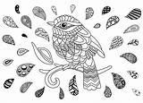 Oiseau Aves Colorare Zentangle Coloring Uccelli Disegni Adultos Coloriages Goutes Adulti Drop Gouttes Colorati Justcolor sketch template