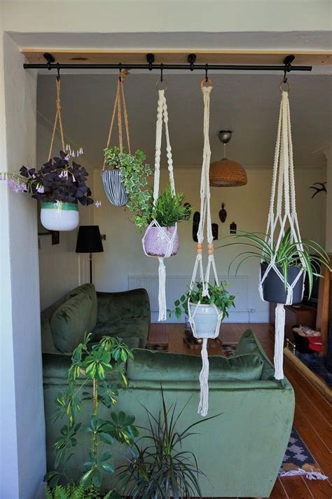 hanging plants ideas  pinterest hanging plant diy diy hanging planter macrame