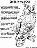 Owl Coloring Pages Horned Great Birds Color Kids Bird Facts Animal Printable Barred Sheets Prey Moon Owls Classroom 13kb Print sketch template