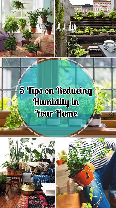 tips  reducing humidity   home home humidity tips