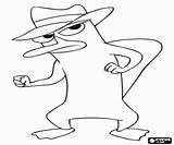 Perry Ferb Phineas Platypus Coloring Pages Agent Secret Mascot Printable Also sketch template