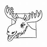 Moose Antlers Getdrawings Drawing sketch template