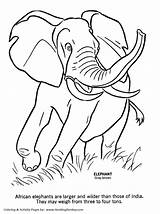 Wild Coloring Pages Elephant Animals Animal Print Kids Honkingdonkey Sheet Activity African Fun Library Popular Comments sketch template