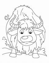 Coloring Yak Pages Cake Searching Pan Color Colorful sketch template