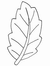 Leaf Coloring Clipart Pages Clipground sketch template