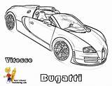 Bugatti Albanysinsanity sketch template