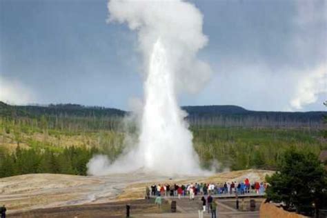 interesting    faithful explore yellowstones geyser