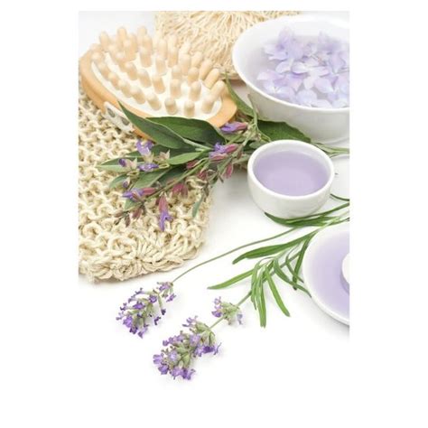 pin  izzy  spacore lavender spa massage design