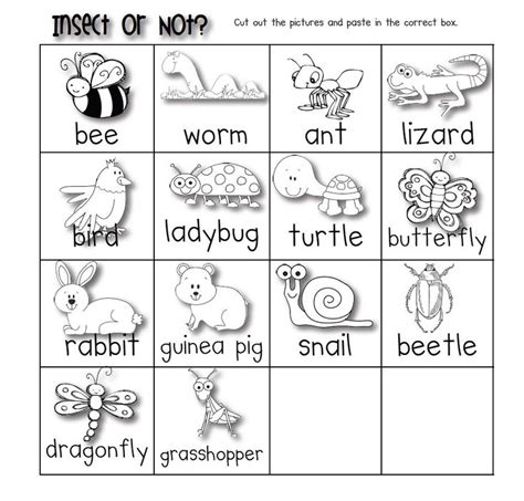 insect worksheets  preschoolers kindergarten worksheets printable kindergarten worksheets