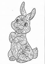Kleurplaat Konijn Kleurplaten Volwassenen Easter Hase Mandalas Hasen Ostern Schattige Moeilijke Lapin Bunnies Erwachsene Pascua Malen Pasen Kaninchen Omnilabo Malvorlagen sketch template