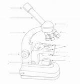 Microscope Microscopio Dibujo 4shared sketch template