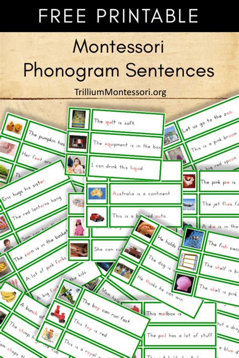 montessori printable phonogram sentences trillium montessori