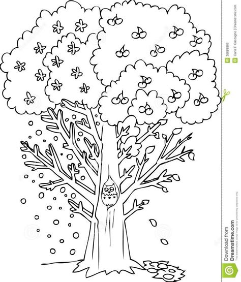 seasons tree coloring pages  print