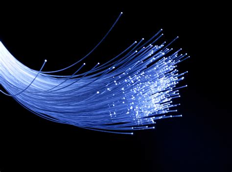 fiber optic networking stocks rose     month
