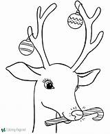 Reindeer Coloring Pages Face Getcolorings Color sketch template