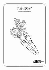 Coloring Carrot Cool Pages Vegetables Plants sketch template