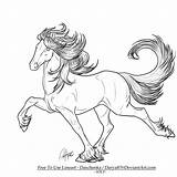 Lineart Darya87 Iceland Clydesdale Patterned Icelandic Stallion sketch template