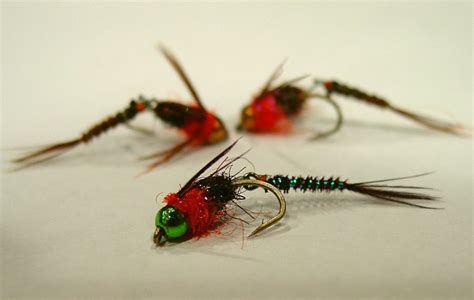 tradds flies flashy pheasant tail nymph wiggle tail