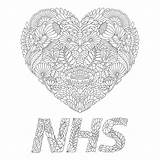 Nhs Marotta Millie sketch template