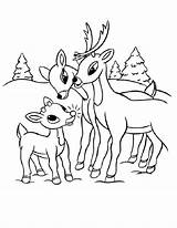 Coloring Pages Reindeer Rudolph Clarice Family Santa Elephant Antlers Girl Printable Proud Getcolorings Getdrawings Drawing Popular Color Print Colorings sketch template