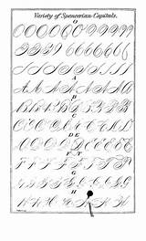 Spencerian Calligraphy Penmanship Capitals Copperplate Handwriting Letters Caligrafía Cursive Letras Script Key Alphabet Caligrafia Worksheet Practical Practice Archive Google Fonts sketch template