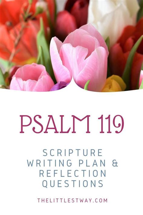psalm   bible study  littlest    psalms bible