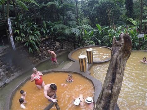 Bongo Baths Wotten Waven Dominica Top Tips Before You Go With