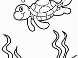 Nemo Finding Turtle Coloring Pages Getcolorings Getdrawings sketch template