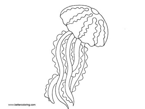 jellyfish coloring pages  printable coloring pages