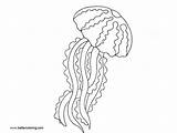 Jellyfish Coloring Pages Printable Adults Kids sketch template