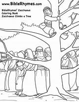 Zacchaeus Climbing Spies sketch template