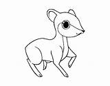 Fawn Coloring Little Coloringcrew sketch template