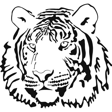tiger coloring pages    clipartmag