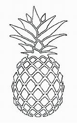 Pineapple Coloring Pages Printable Cute Template sketch template