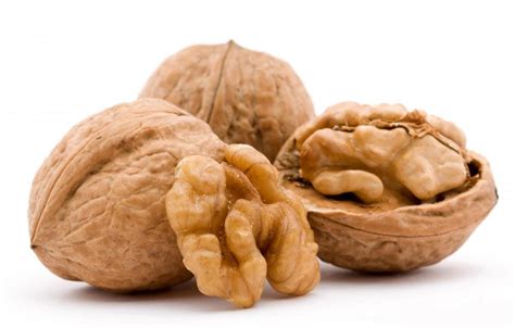 brainy walnut   medicinal benefits ayurveda  yoga