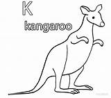 Kangaroo Coloring Pages Printable Print Template Kids sketch template