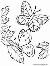Butterfly Kupu Mewarnai Hitam Putih Bunga Diwarnai Hewan Mozaik Kolase Lukisan Fauna Hias Lembar Insetos Freewaremini Ragam Sketsa Lucu Corak sketch template