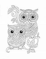 Coloring Kindle Amazon Artist Book Velman Irina Adults Edition Pages Adult Owl Books sketch template