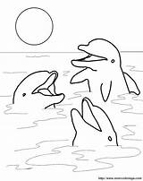 Delfine Gluckliche Drei Delfin Ausmalbild Benutzen Genügt Webbrowser Anderen Ordnung sketch template