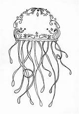 Qualle Jellyfish Ausmalbilder Letzte sketch template