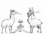 Llama Line Drawing Getdrawings sketch template