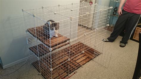 Diy Wire Cube Cat Enclosure Perfect For The Apartment Balcony Cat