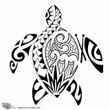 Turtle Tribal Tattoo Hawaiian Sea Drawing Samoan Maori Designs Tattoos Polynesian Honu Drawings Turtles Schildkröte Meaning Getdrawings Ray Island Tattootribes sketch template