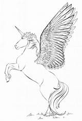 Unicorn Coloring Wings Pages Scribblefun Magical sketch template