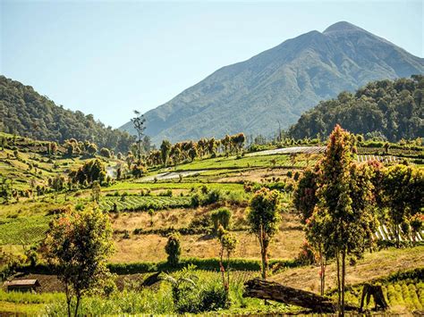 Taman Nasional Kerinci Seblat Taman Nasional Terbesar Di